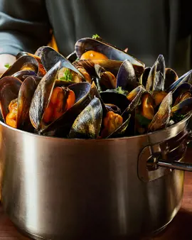 MUSSELS